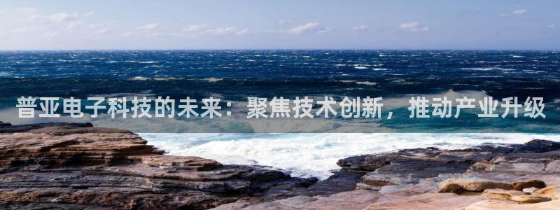 普亚电子科技的未来：聚焦技术创新，推动产业升级
