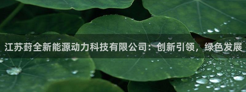 江苏葑全新能源动力科技有限公司：创新引领，绿色发展