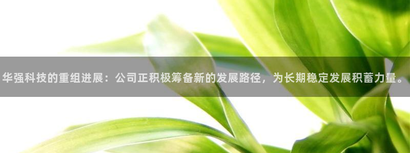 华强科技的重组进展：公司正积极筹备新的发展路径，为长期稳定发展积蓄力量。
