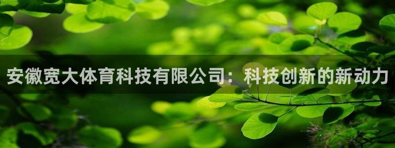 安徽宽大体育科技有限公司：科技创新的新动力