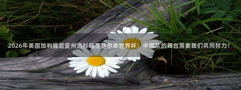 2026年美国加利福尼亚州洛杉矶至墨尔本世界杯：中国队的舞台需要我们共同努力！