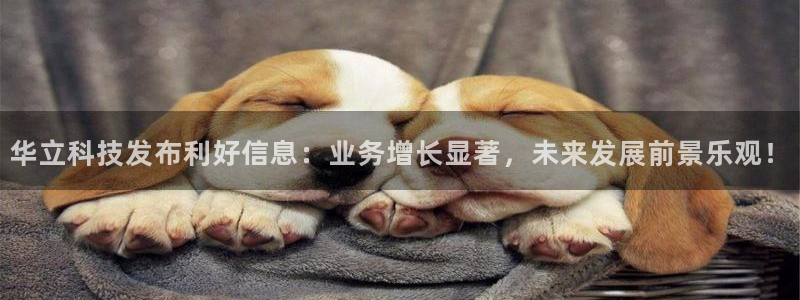 华立科技发布利好信息：业务增长显著，未来发展前景乐观！