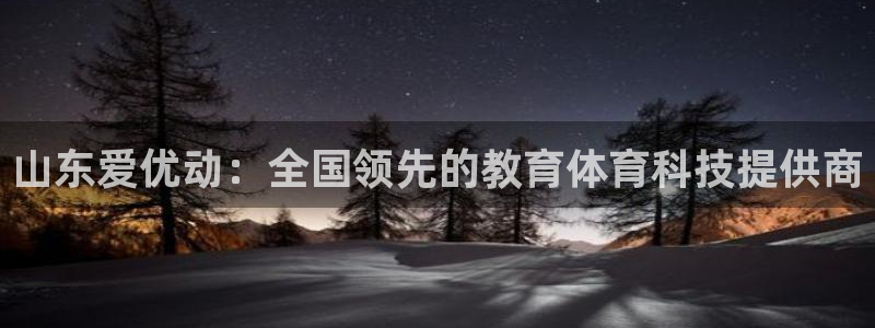 山东爱优动：全国领先的教育体育科技提供商