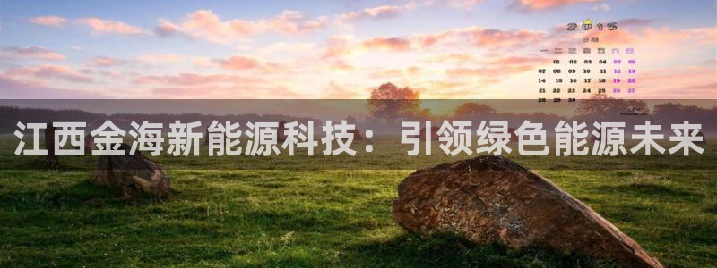 江西金海新能源科技：引领绿色能源未来