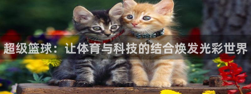 超级篮球：让体育与科技的结合焕发光彩世界