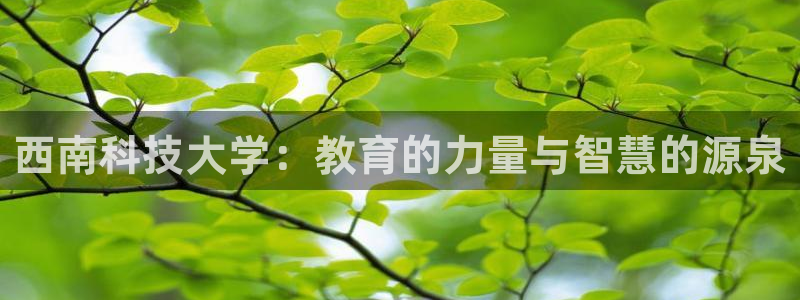 西南科技大学：教育的力量与智慧的源泉