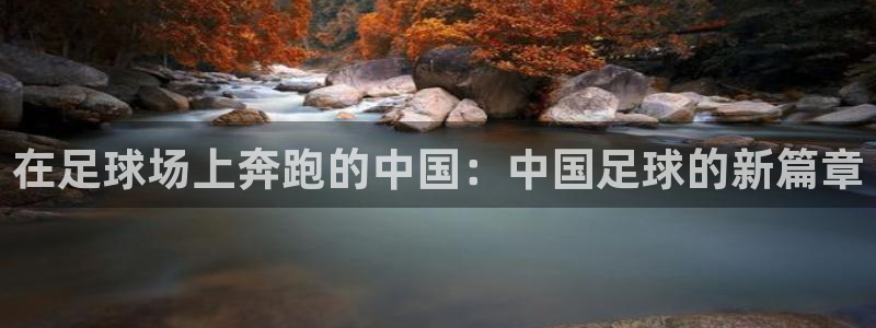 在足球场上奔跑的中国：中国足球的新篇章