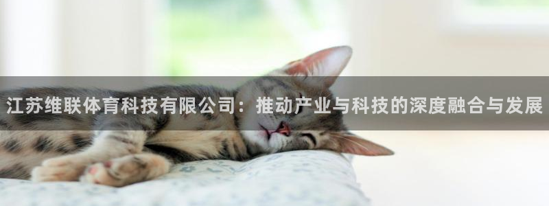 江苏维联体育科技有限公司：推动产业与科技的深度融合与发展