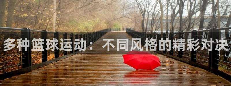 多种篮球运动：不同风格的精彩对决